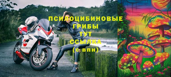 дживик Новокубанск