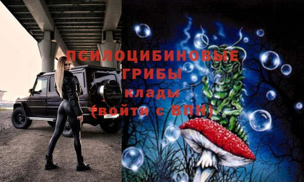 дживик Новокубанск