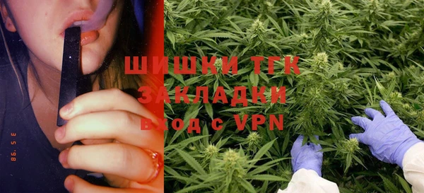 не бодяженный Новозыбков
