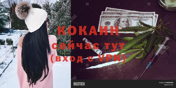 дурь Новодвинск