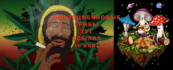 дурь Новодвинск