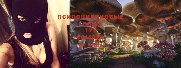 кристаллы Нягань