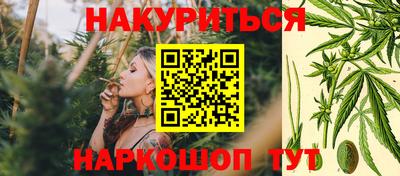 эйфоретик Кингисепп