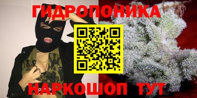 ПСИЛОЦИБИНОВЫЕ ГРИБЫ Кимры
