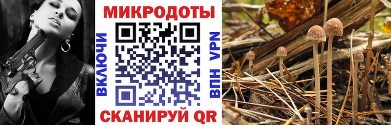 Галлюциногенные грибы Magic Shrooms Майский