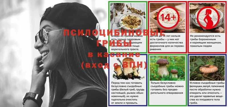 это наркотические препараты  Майский  Галлюциногенные грибы Psilocybe  где продают  