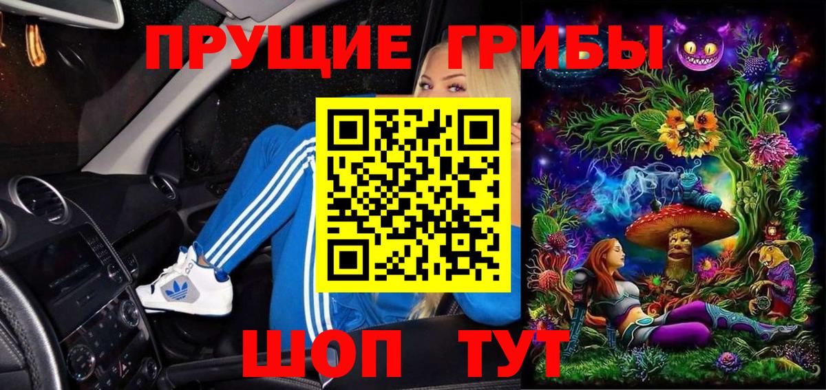 Галлюциногенные грибы GOLDEN TEACHER  Майский  Псилоцибиновые грибы GOLDEN TEACHER 