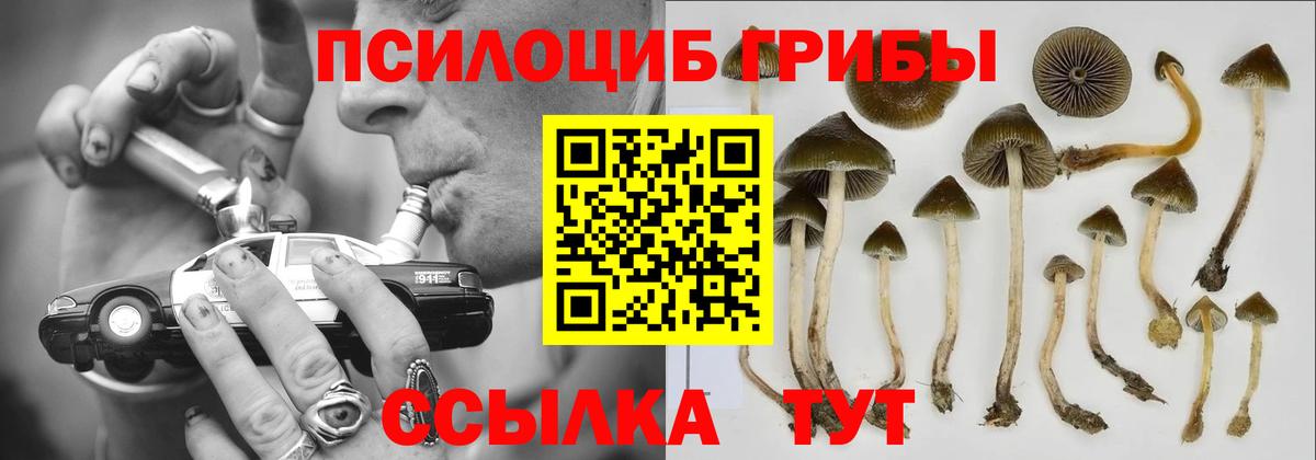 Псилоцибиновые грибы мухоморы  Вход с VPN  Майский 